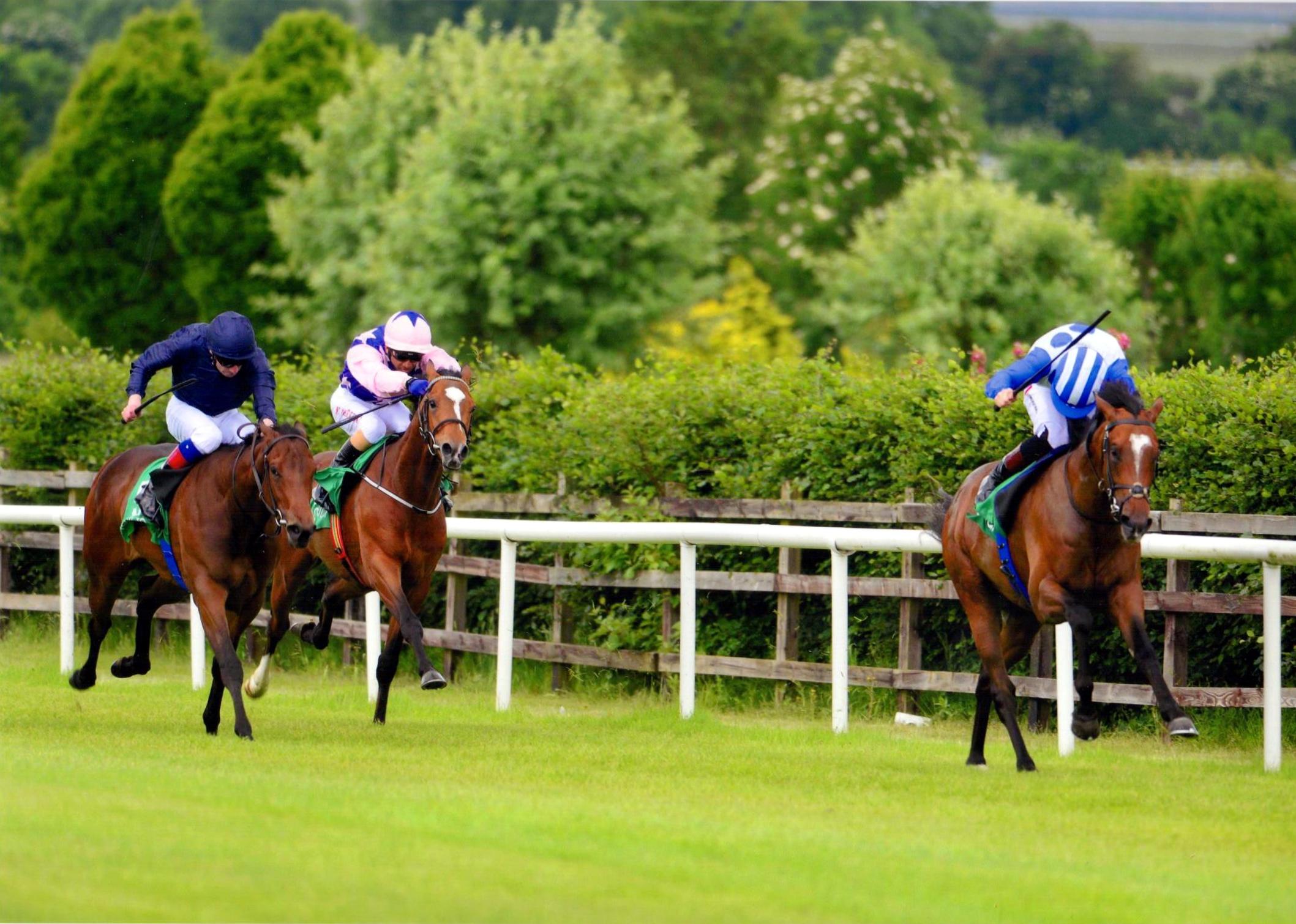 KING ELECTRIC lands The Lynn Lodge Stud EBF Median Auction Race